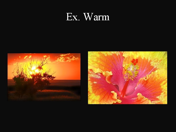 Ex. Warm 