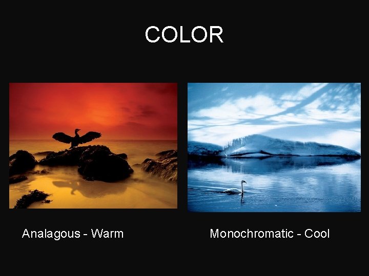 COLOR Analagous - Warm Monochromatic - Cool 