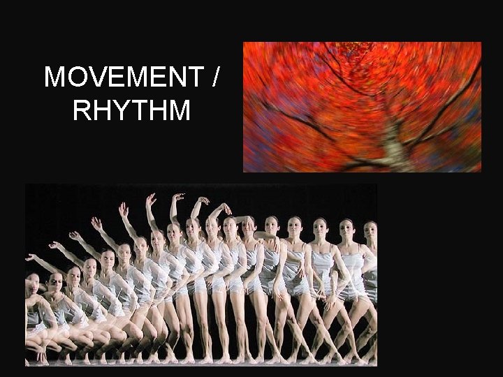 MOVEMENT / RHYTHM 