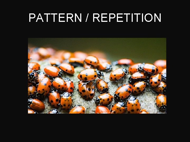 PATTERN / REPETITION 