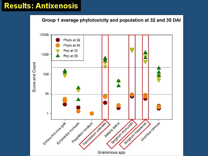 Results: Antixenosis 