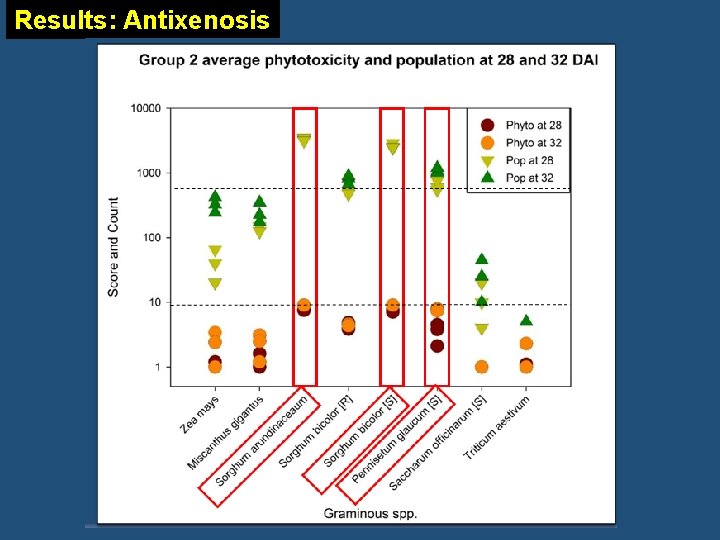Results: Antixenosis 