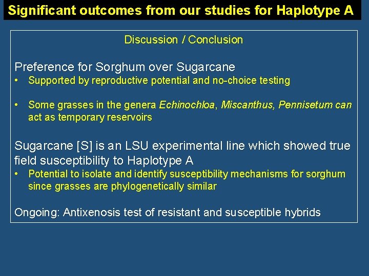 Significant outcomes from our studies for Haplotype A Discussion / Conclusion Preference for Sorghum