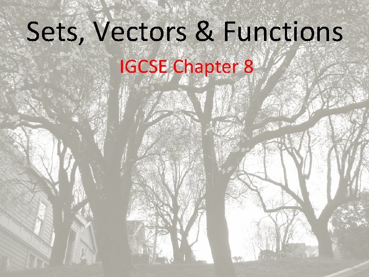 Sets, Vectors & Functions IGCSE Chapter 8 