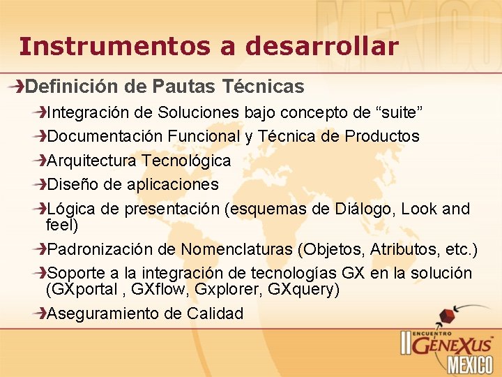 Instrumentos a desarrollar Definición de Pautas Técnicas Integración de Soluciones bajo concepto de “suite”