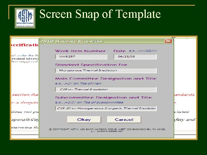 Screen Snap of Template 