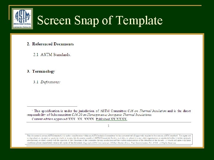 Screen Snap of Template 