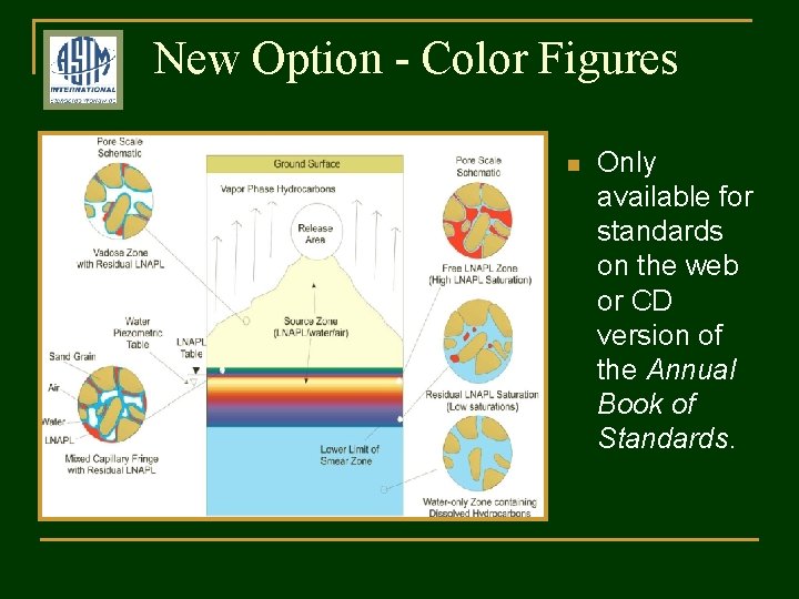 New Option - Color Figures n Only available for standards on the web or