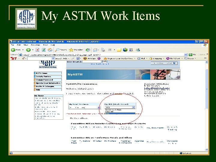My ASTM Work Items 