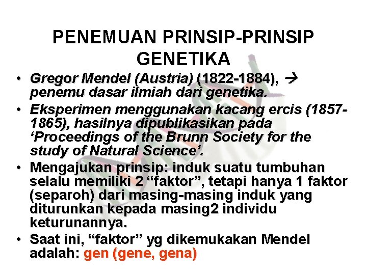 PENEMUAN PRINSIP-PRINSIP GENETIKA • Gregor Mendel (Austria) (1822 -1884), penemu dasar ilmiah dari genetika.