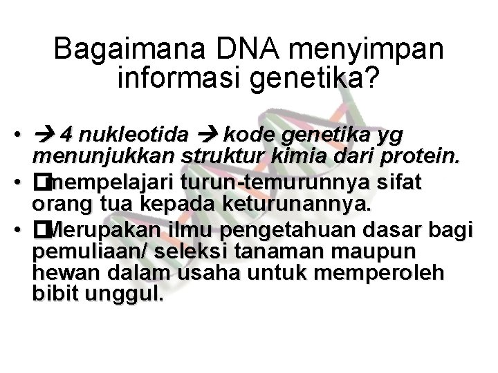 Bagaimana DNA menyimpan informasi genetika? • 4 nukleotida kode genetika yg menunjukkan struktur kimia