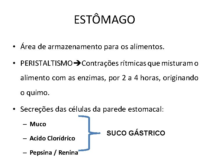 ESTÔMAGO • Área de armazenamento para os alimentos. • PERISTALTISMO Contrações rítmicas que misturam