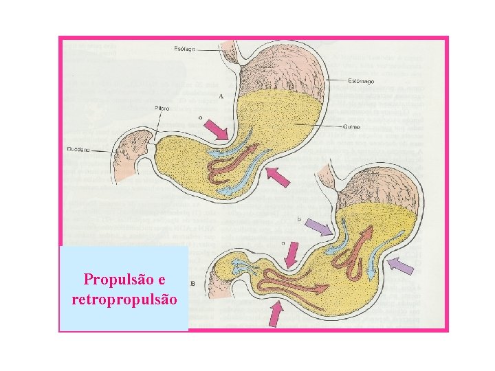 Propulsão e retropropulsão 