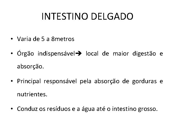 INTESTINO DELGADO • Varia de 5 a 8 metros • Órgão indispensável local de