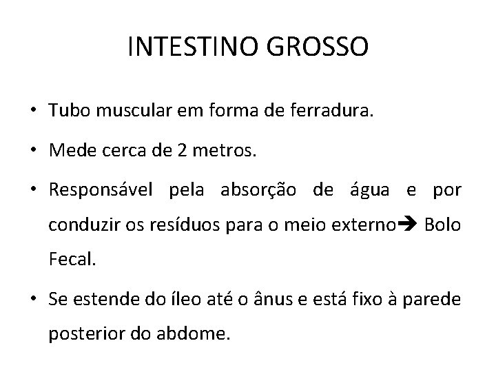 INTESTINO GROSSO • Tubo muscular em forma de ferradura. • Mede cerca de 2