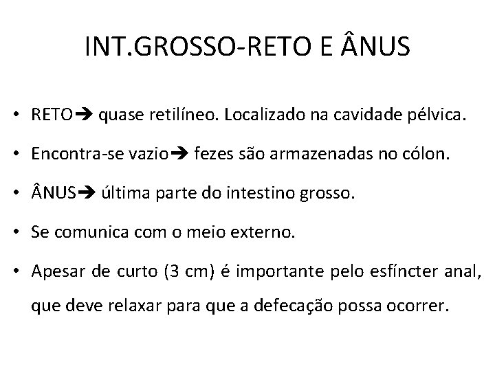 INT. GROSSO-RETO E NUS • RETO quase retilíneo. Localizado na cavidade pélvica. • Encontra-se