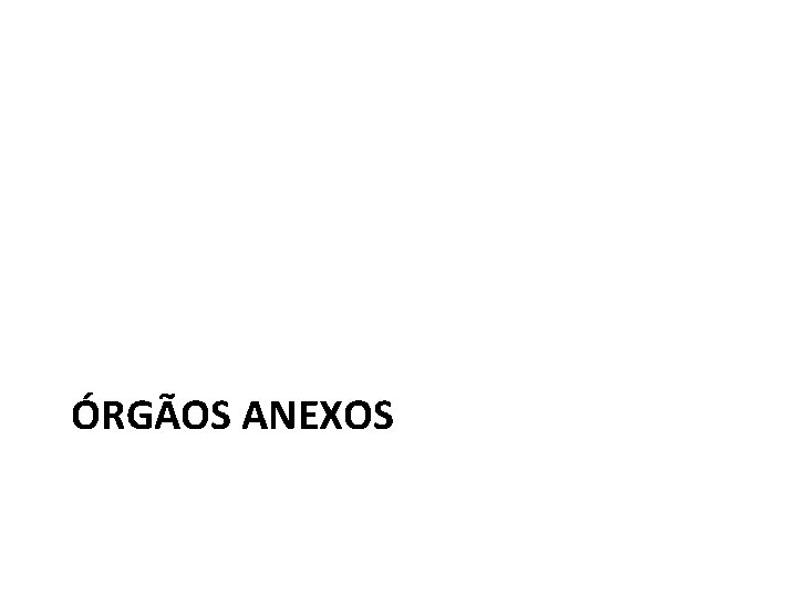 ÓRGÃOS ANEXOS 