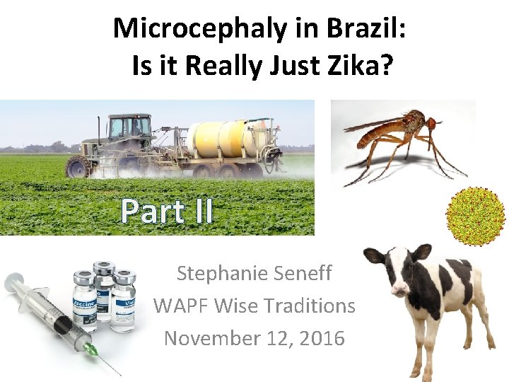 Microcephaly in Brazil: Is it Really Just Zika? Part II Stephanie Seneff WAPF Wise