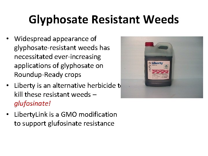 Glyphosate Resistant Weeds • Widespread appearance of glyphosate-resistant weeds has necessitated ever-increasing applications of