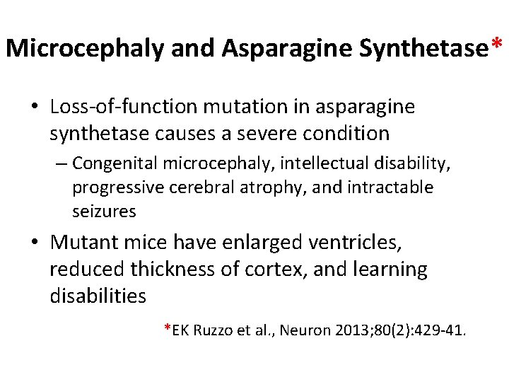 Microcephaly and Asparagine Synthetase* • Loss-of-function mutation in asparagine synthetase causes a severe condition