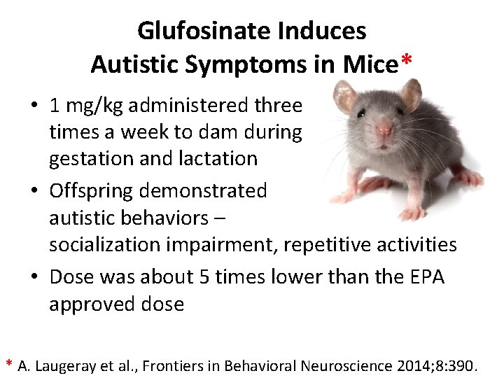 Glufosinate Induces Autistic Symptoms in Mice* • 1 mg/kg administered three times a week