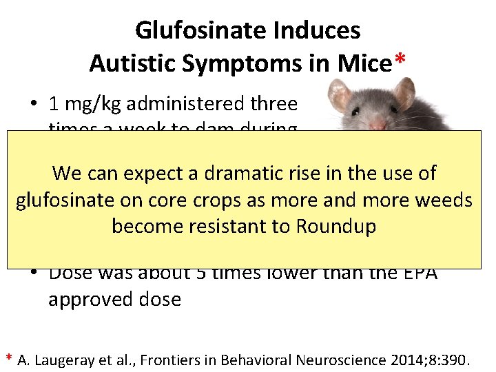 Glufosinate Induces Autistic Symptoms in Mice* • 1 mg/kg administered three times a week