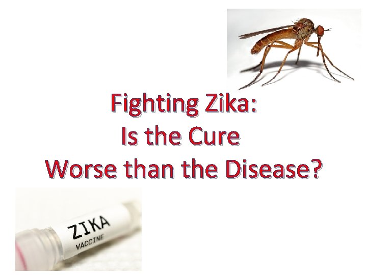 Fighting Zika: Is the Cure Worse than the Disease? 