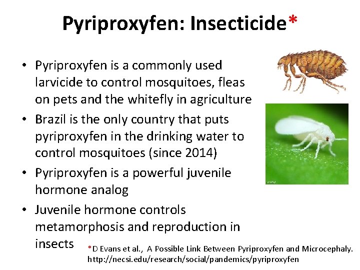 Pyriproxyfen: Insecticide* • Pyriproxyfen is a commonly used larvicide to control mosquitoes, fleas on