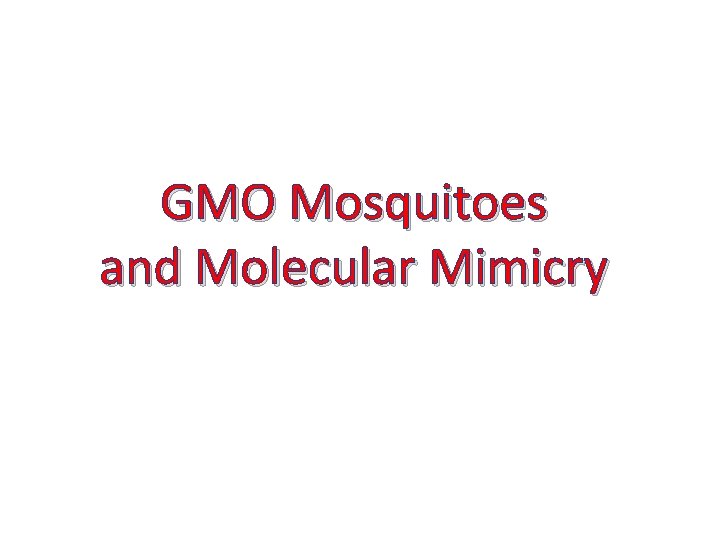 GMO Mosquitoes and Molecular Mimicry 