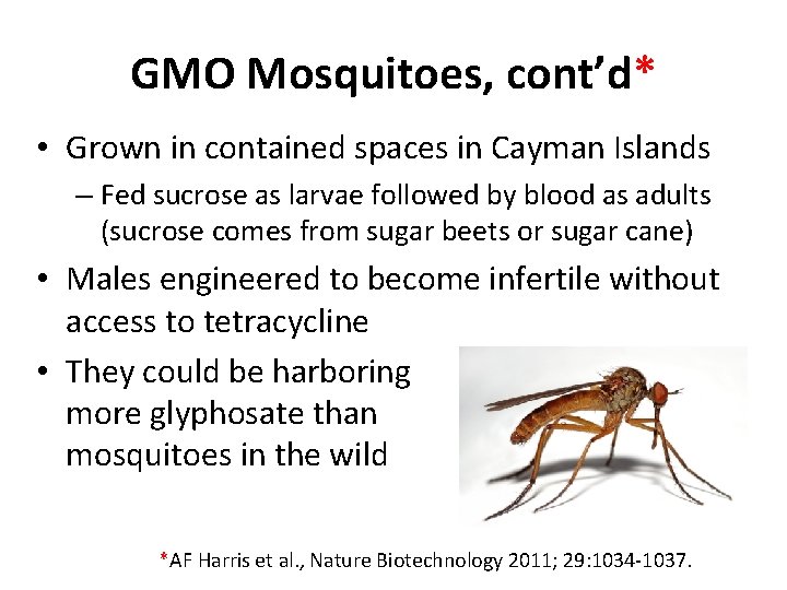 GMO Mosquitoes, cont’d* • Grown in contained spaces in Cayman Islands – Fed sucrose