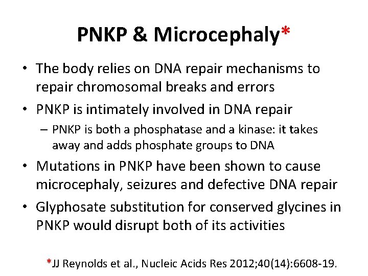 PNKP & Microcephaly* • The body relies on DNA repair mechanisms to repair chromosomal