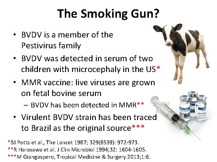 The Smoking Gun? • BVDV is a member of the Pestivirus family • BVDV