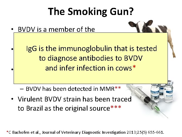 The Smoking Gun? • BVDV is a member of the Pestivirus family Ig. Gwas