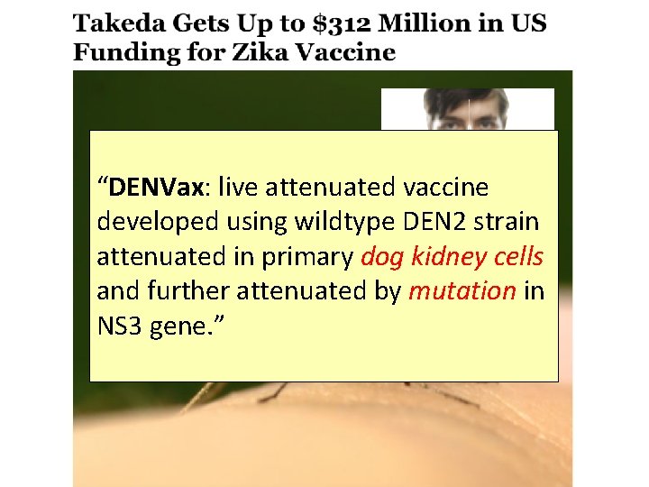 “DENVax: live attenuated vaccine developed using wildtype DEN 2 strain attenuated in primary dog