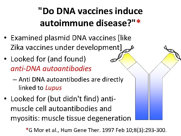 "Do DNA vaccines induce autoimmune disease? "* • Examined plasmid DNA vaccines [like Zika