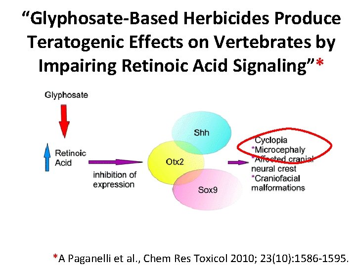 “Glyphosate-Based Herbicides Produce Teratogenic Effects on Vertebrates by Impairing Retinoic Acid Signaling”* *A Paganelli