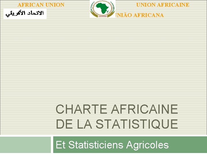 AFRICAN UNION AFRICAINE UNIÃO AFRICANA CHARTE AFRICAINE DE LA STATISTIQUE Et Statisticiens Agricoles AFRICAN UNION AFRICAINE UNIÃO AFRICANA CHARTE AFRICAINE DE LA STATISTIQUE Et Statisticiens Agricoles