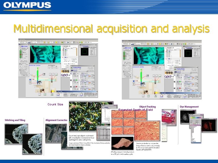 Multidimensional acquisition and analysis Count Size Extended Depth of Field 