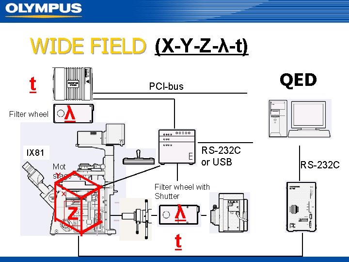 WIDE FIELD (X-Y-Z-λ-t) t Filter wheel QED PCI-bus λ RS-232 C or USB IX