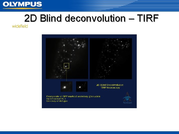 2 D Blind deconvolution – TIRF widefield 