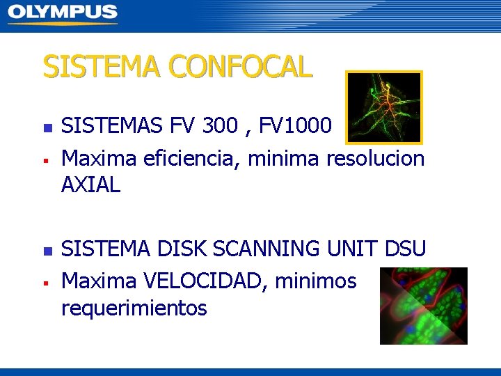 SISTEMA CONFOCAL n § SISTEMAS FV 300 , FV 1000 Maxima eficiencia, minima resolucion