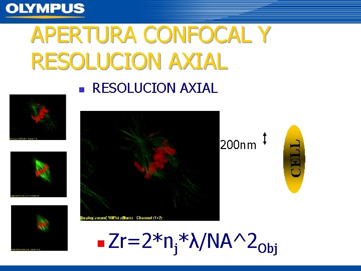 APERTURA CONFOCAL Y RESOLUCION AXIAL 200 nm n Zr=2*nj*λ/NA^2 Obj CELL n 