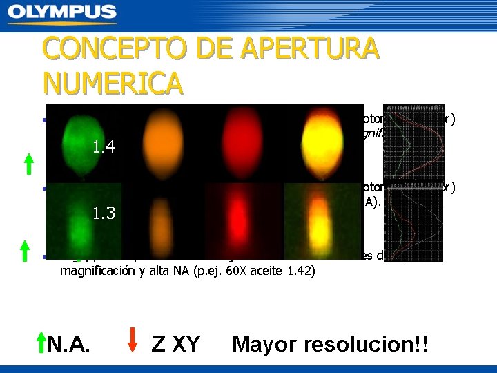 CONCEPTO DE APERTURA NUMERICA La cantidad de luz detectada (por el ojo, la CCD