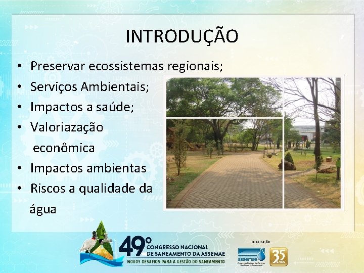 INTRODUÇÃO Preservar ecossistemas regionais; Serviços Ambientais; Impactos a saúde; Valoriazação econômica • Impactos ambientas