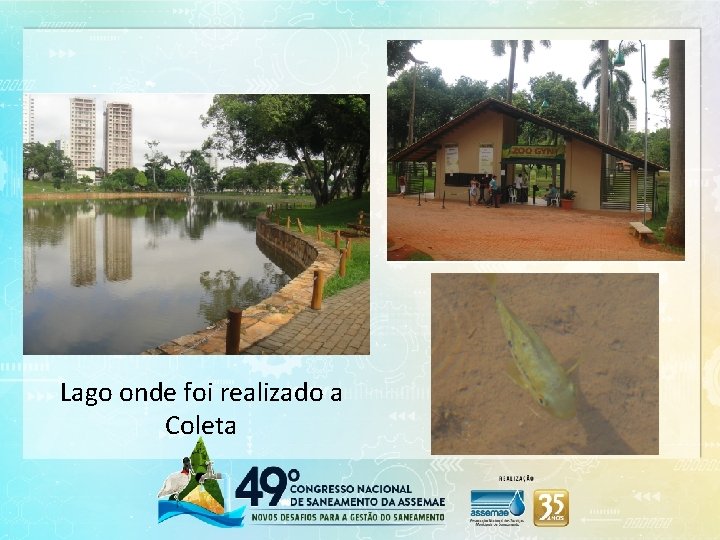 Lago onde foi realizado a Coleta 