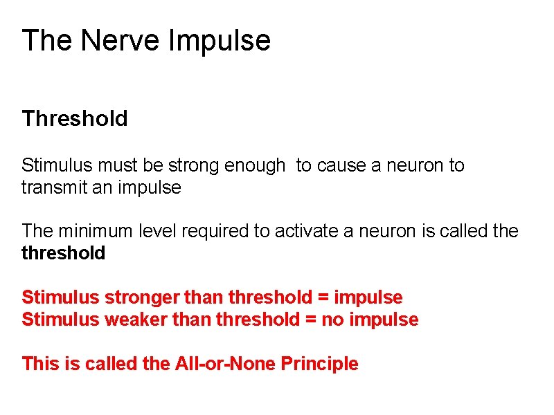 The Nerve Impulse Threshold Stimulus must be strong enough to cause a neuron to