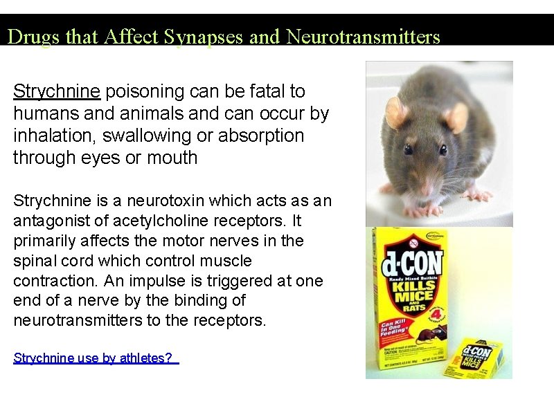 Drugs that Affect Synapses and Neurotransmitters Strychnine poisoning can be fatal to humans and