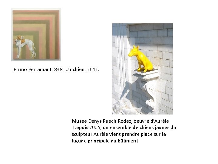 Bruno Perramant, 8+8, Un chien, 2011. Musée Denys Puech Rodez, oeuvre d'Aurèle Depuis 2005,