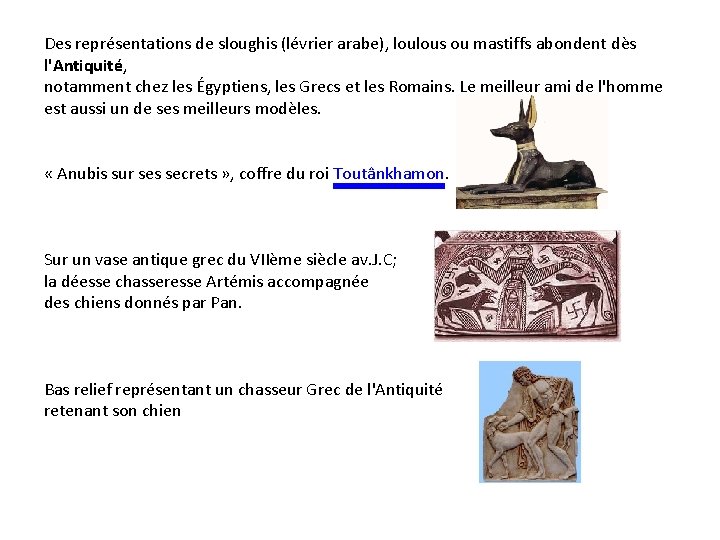 Des représentations de sloughis (lévrier arabe), loulous ou mastiffs abondent dès l'Antiquité, notamment chez