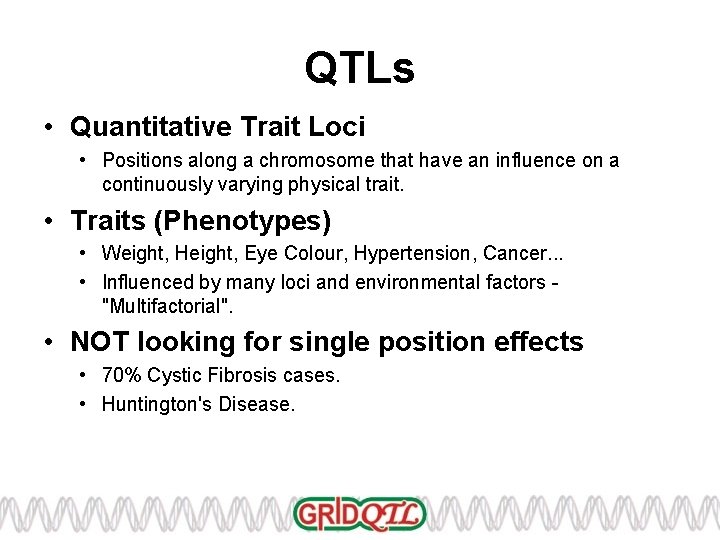 QTLs • Quantitative Trait Loci • Positions along a chromosome that have an influence